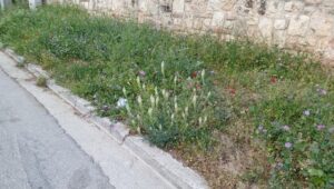 Διατήρηση Λειτουργικών και Ασφαλών Πεζοδρομίων στον Δήμο Κηφισιάς